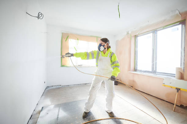 Best Mold Removal for HVAC Installations  in Hackettstown, NJ