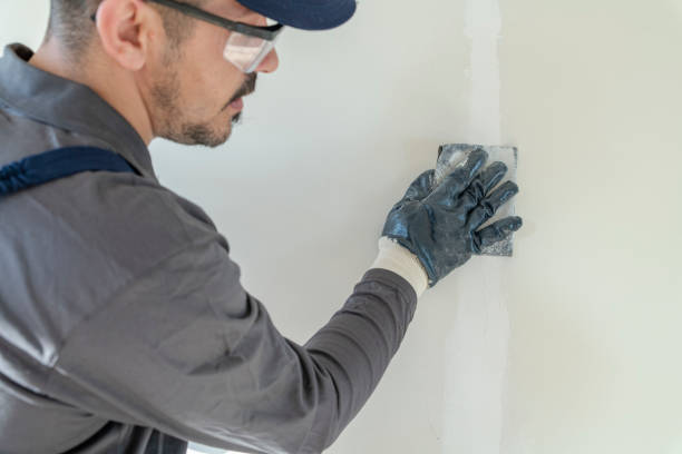 Environmental Consulting for Mold Prevention in Hackettstown, NJ