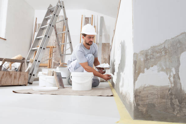 Trusted Hackettstown, NJ Mold Removal Experts