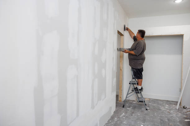 Best Commercial Mold Inspection  in Hackettstown, NJ