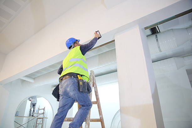 Best Basement Mold Removal  in Hackettstown, NJ